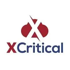 Обзор - XCritical