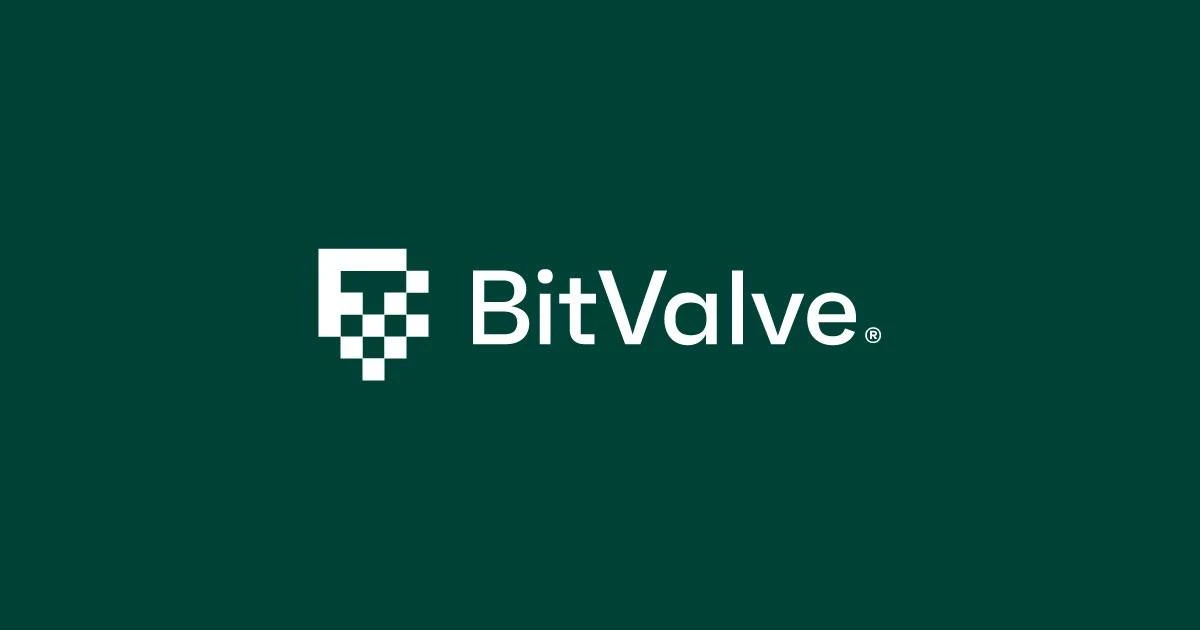 Обзор - BitValve