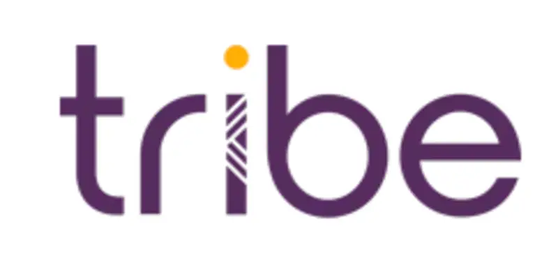 Обзор - Tribe Payments