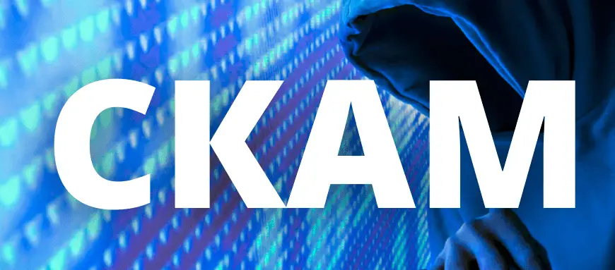 Обзор - SwissCard