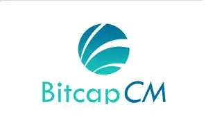 Обзор - BitcapCM