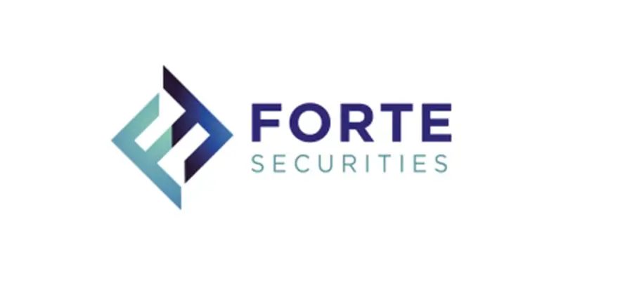 Обзор - Forte Securities Limited