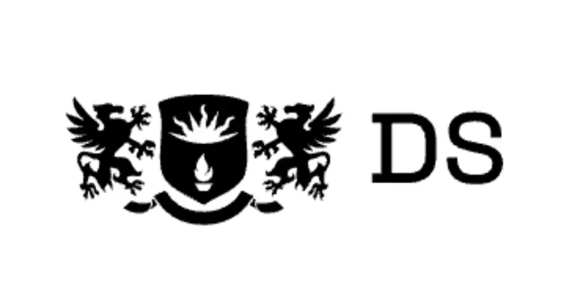 Обзор - DS Consulting