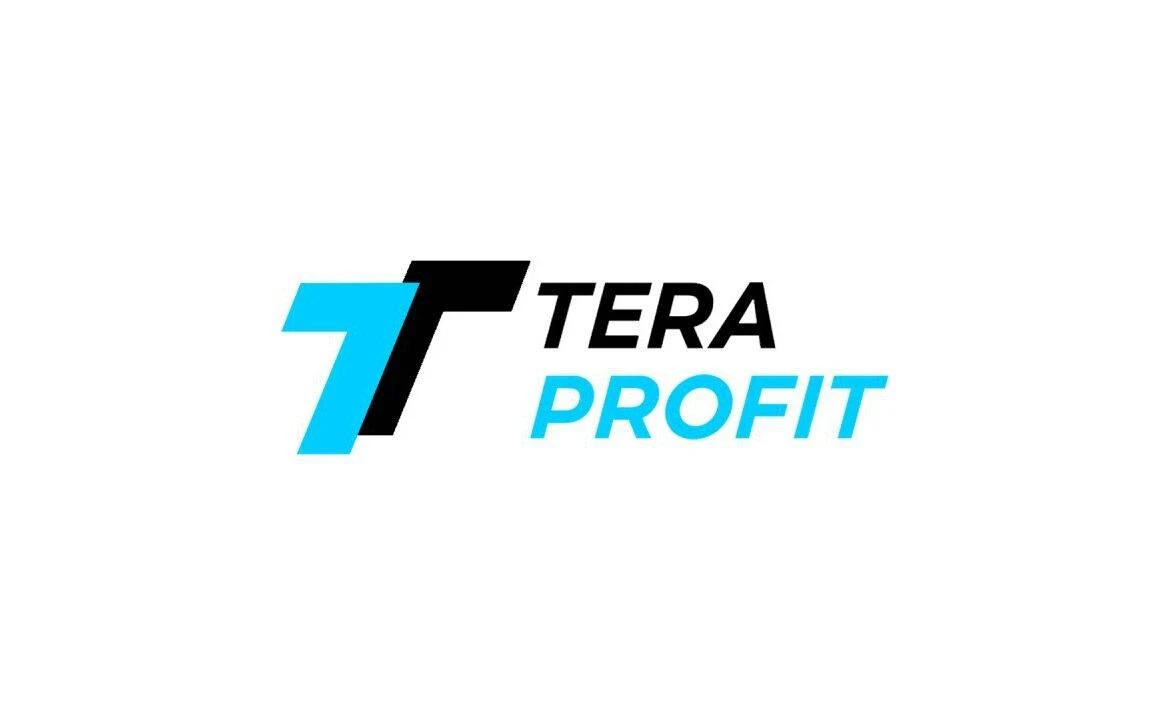 Обзор - TeraProfit