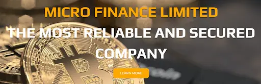 Обзор - Micro Finance Limited