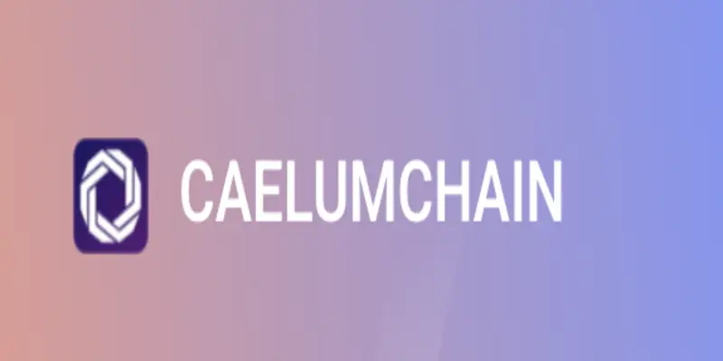 Обзор - CaelumChain