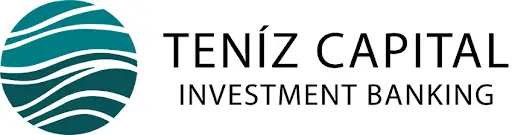 Обзор - Teniz Capital