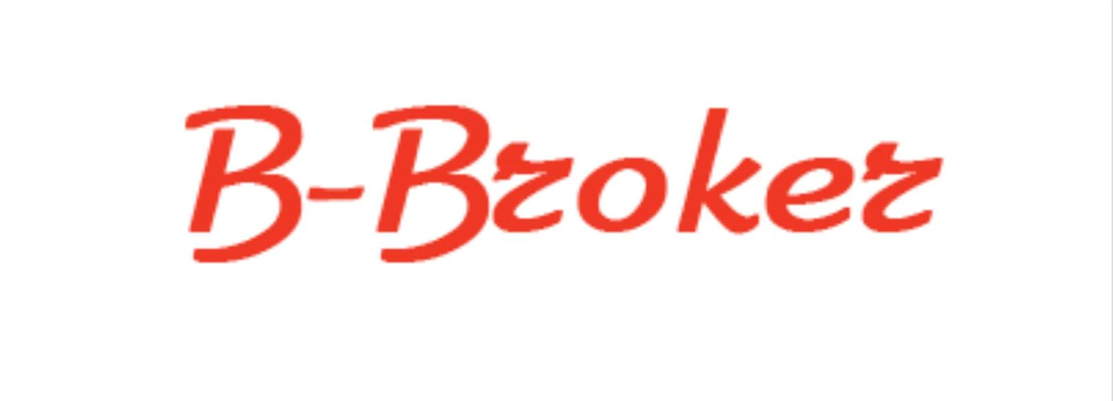 Обзор - B-Broker
