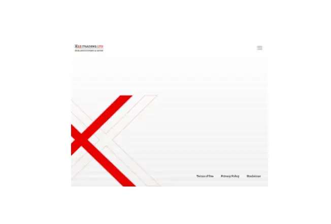 Обзор - X12 Trading Ltd