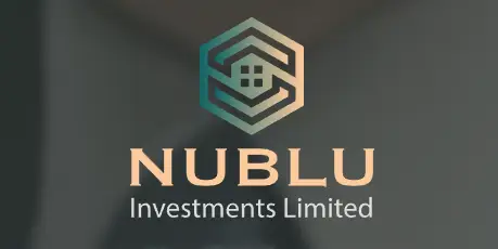 Обзор - Nublu Investments Limited