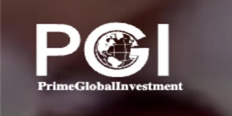 Обзор - PrimeGlobalInvestment