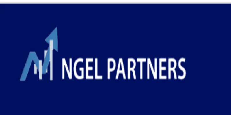 Обзор - Ngel Partners