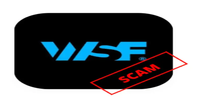 Обзор - WSFunded