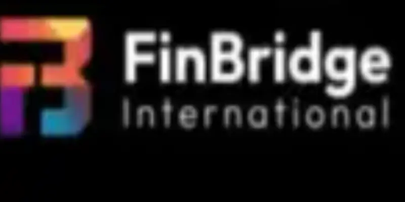 Обзор - FinBridge International