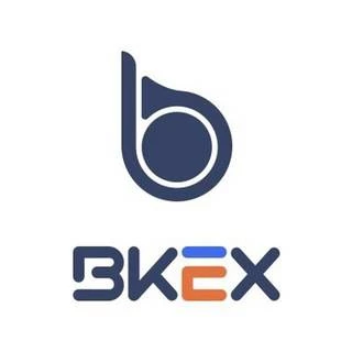 Обзор - BKEX