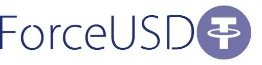Обзор - ForceUSDT
