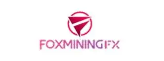 Обзор - Fox Mining Fx