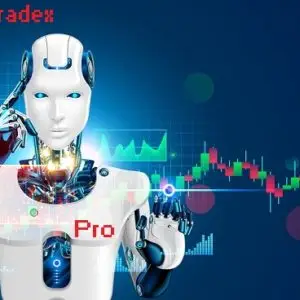 Обзор - Pro Trader