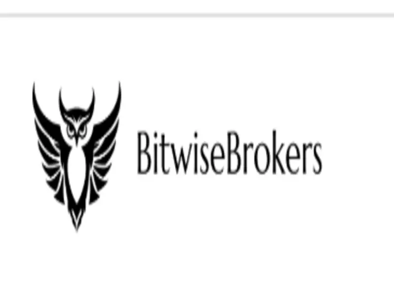 Обзор - BitwiseBrokers