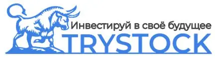 Обзор - TryStock