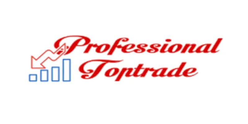 Обзор - Professional Toptrade