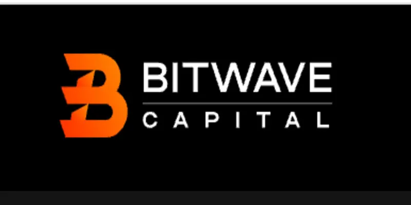 Обзор - Bitwave Capital