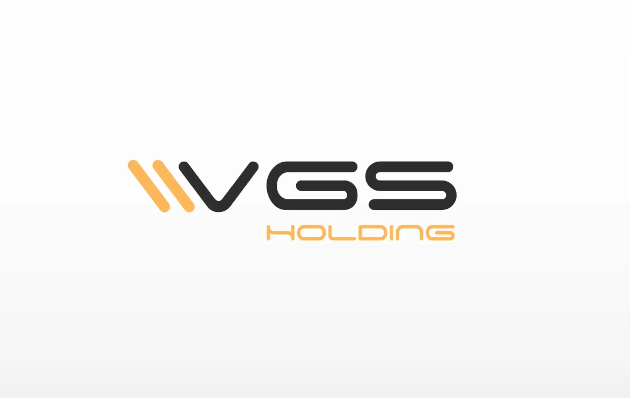 Обзор - VGS Holding