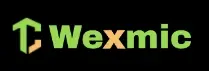 Обзор - Wexmic
