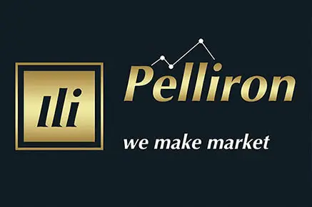 Обзор - Pelliron Universal Inc