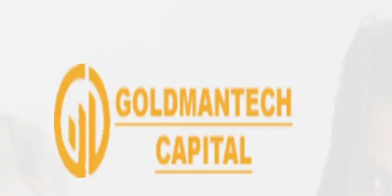 Обзор - Goldmantechcapital