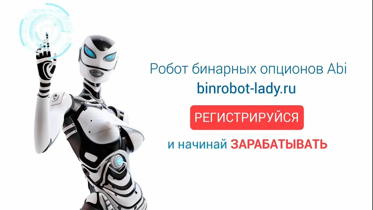 Обзор - BinRobot Lady