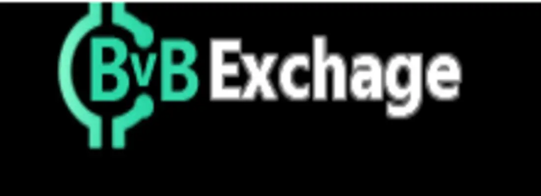 Обзор - BvBExchage