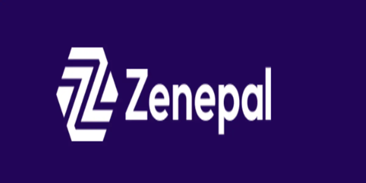 Обзор - Zenepal