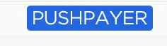 Обзор - PushPayer