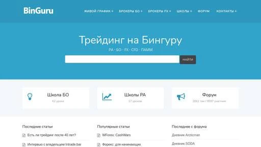 Обзор - Мини-школа Forex BinGuru