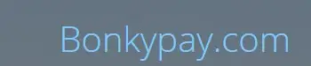 Обзор - BonkyPay