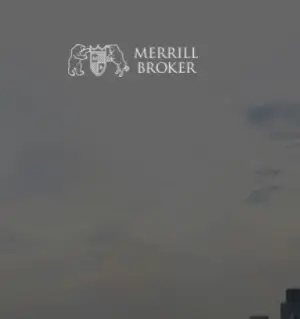 Обзор - Merrill Broker