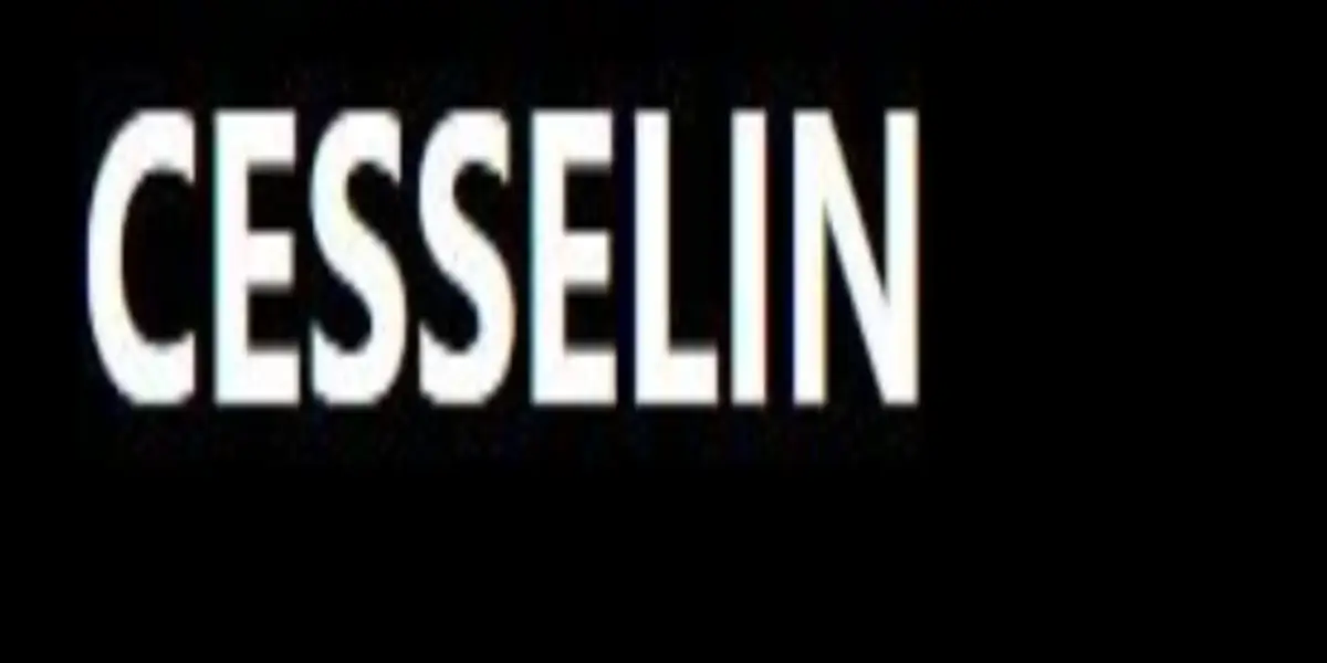 Обзор - Cesselin