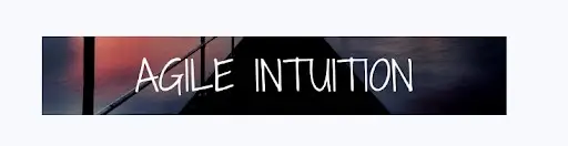 Обзор - Agile Intuition