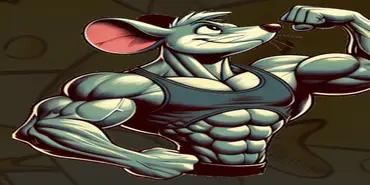 Mouse Money - Криптовалютные организации