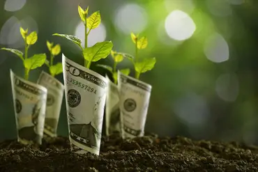 Как заработать на инвестициях с минимальными вложениями