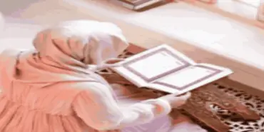 Алия Халяль Инвест - Финансовые организации