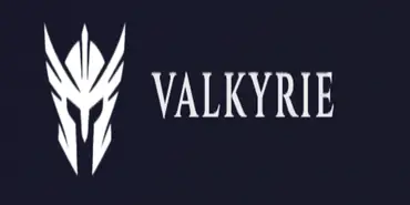 Valkyrie Revival Fund - Финансовые организации