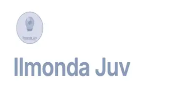 Ilmonda Juv - Финансовые организации