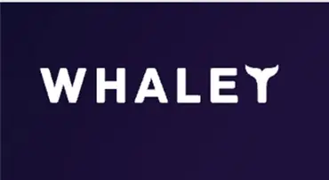 Whalet LTD - Криптовалютные организации