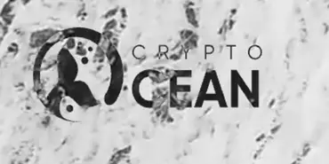 Crypto Ocean Ltd. - Финансовые организации