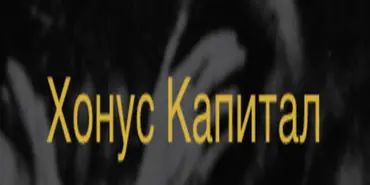 Honus Capital - Финансовые организации