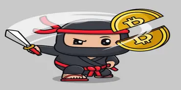 Akuro - Криптовалютные организации