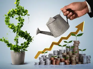 В какие фонды лучше инвестировать и как 