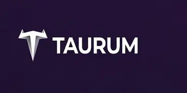 Taurum AI - Криптовалютные организации
